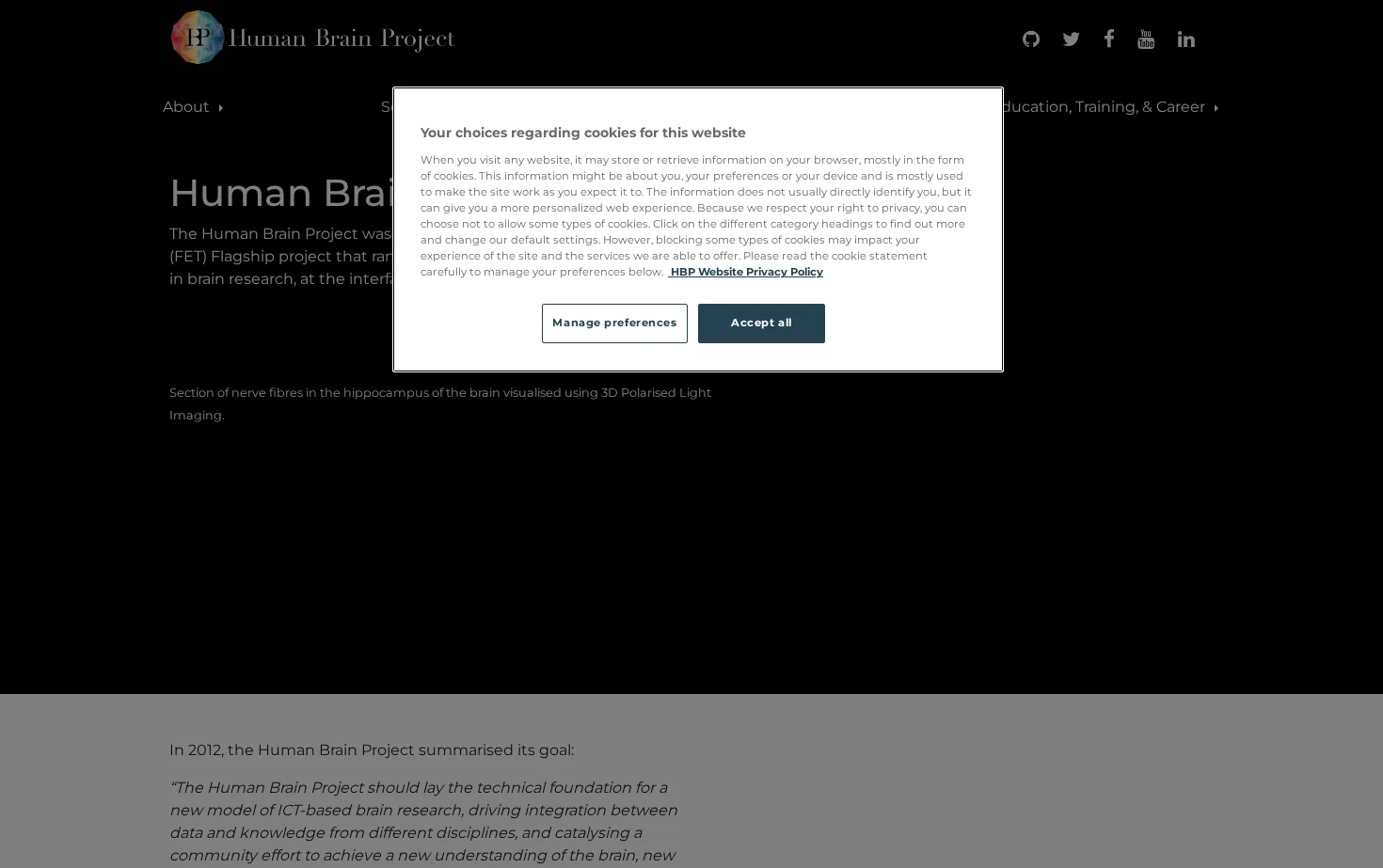 Human Brain Project 页面快照